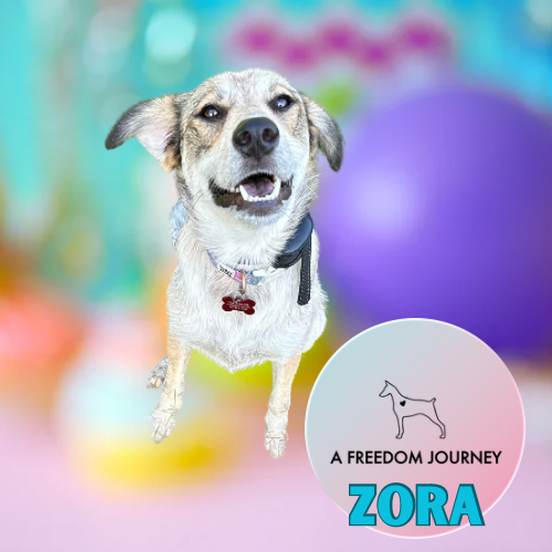 Zora